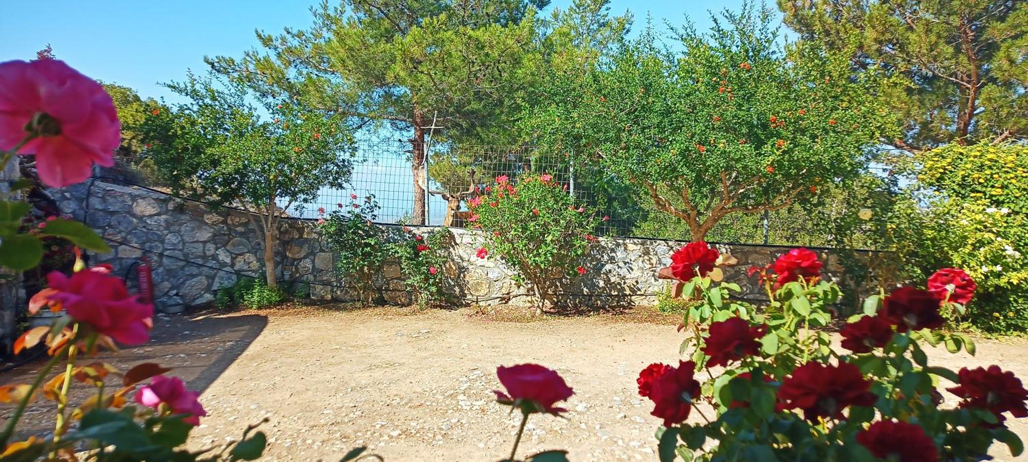 Вілла Dora'S House Istrios Екстер'єр фото