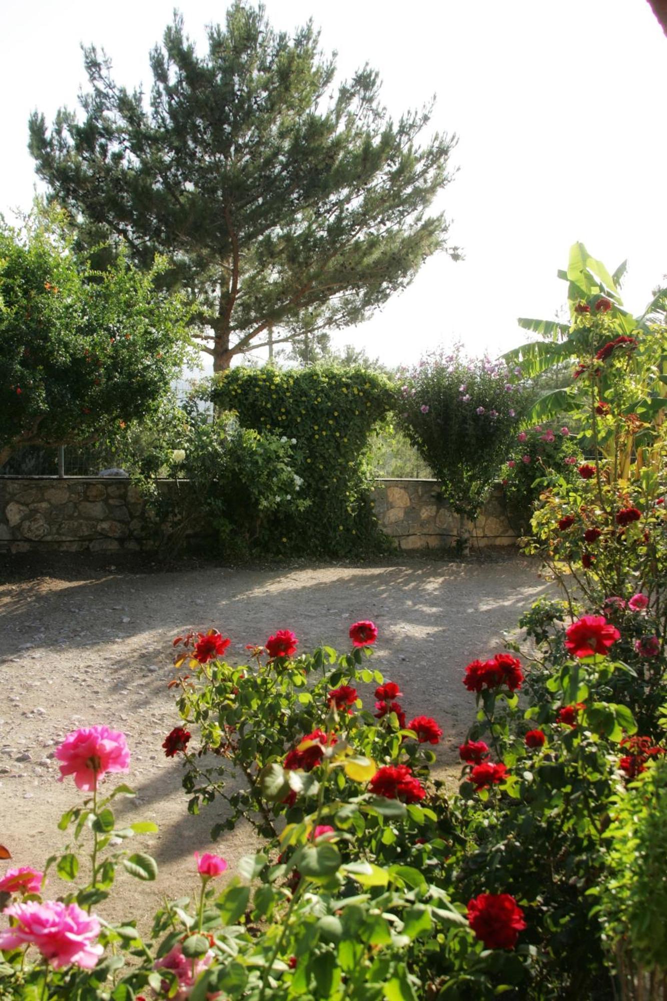 Вілла Dora'S House Istrios Екстер'єр фото